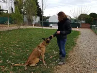 Allonimo