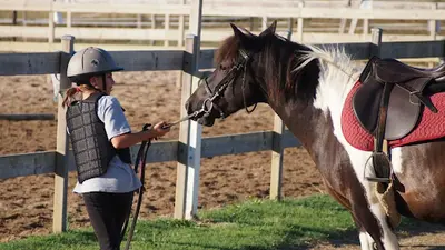 Poney Club de Grellery