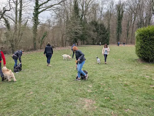 Club Canin Acd 78