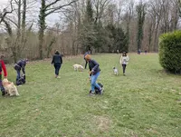 Club Canin Acd 78