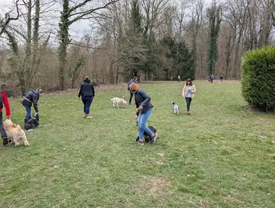 Club Canin Acd 78