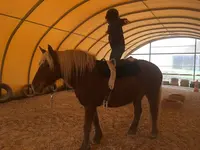 Les Poneys d'Adèle