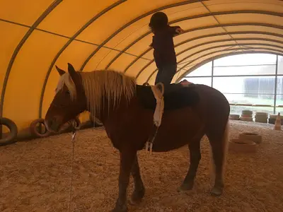 Les Poneys d'Adèle