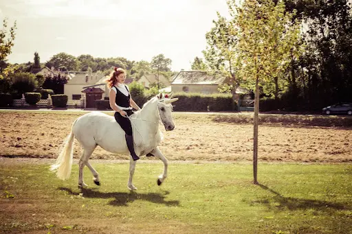 Ferme Equestre le Coeur Equi Libre "le Coeur de Clarius"