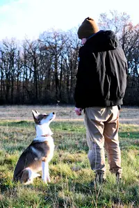Pos Canine - Éducateur Comportementaliste Canin