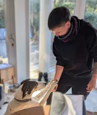 Thérapeute Animalier (aux Alentours de Bordeaux et Grenoble) - Elodie Thibert, Équin, Canin et Félin.