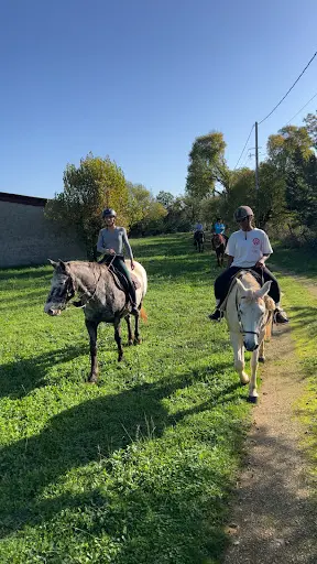 Ferme Équestre le Cheval Blanc