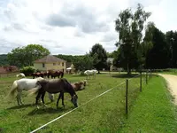 Ferme Équestre Tashunka Town