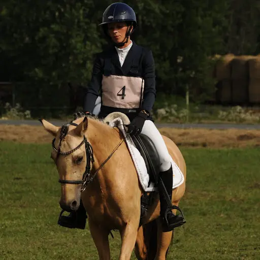 Poneys Blackstone Équitation