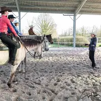 Ecurie Western Paradise - Centre Equestre