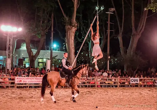 Ecurie d'Arts Equestres de Condis
