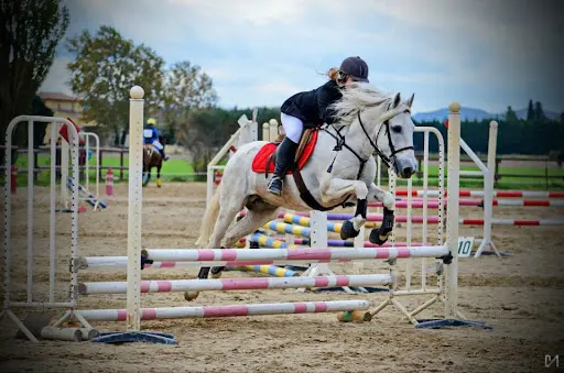 Haras de Lagnes