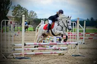 Haras de Lagnes