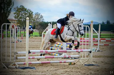 Haras de Lagnes
