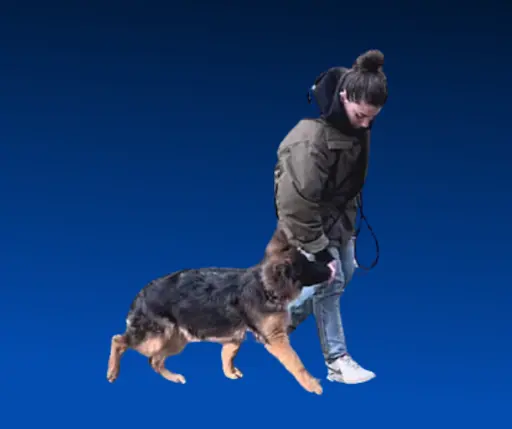Teamdoggist - Education Canine