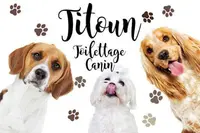 Titoun Toilettage Chien