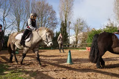 Poney Atlantic Loisirs Mireuil