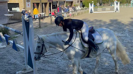 Ecurie Horseone