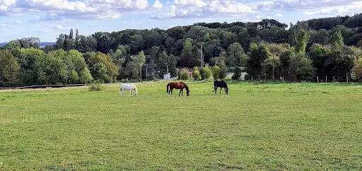 Haras de Stel