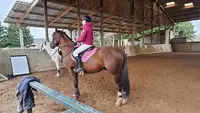 Poney Club de Laizé