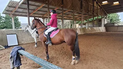 Poney Club de Laizé