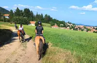 Domaine Équestre de Fontcouverte