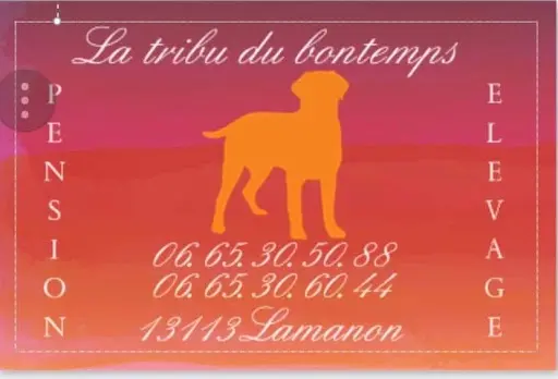 La Tribu du Bontemps Pension Élevage Canin