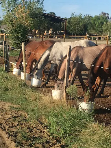 Hippo’camp D’aouzet