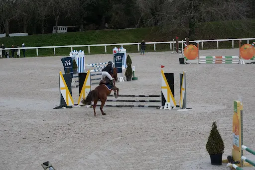 Lamballe Équitation