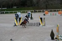 Lamballe Équitation