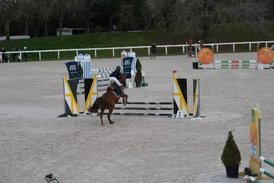 Lamballe Équitation