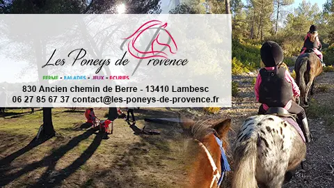Les Poneys de Provence