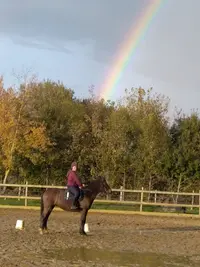 Poney Club du Champ Brûlé