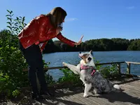Canin Serein - Educatrice Comportementaliste