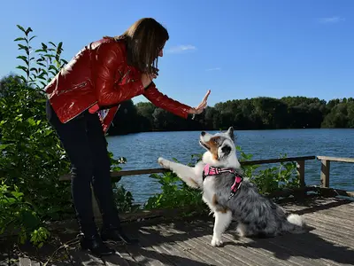 Canin Serein - Educatrice Comportementaliste
