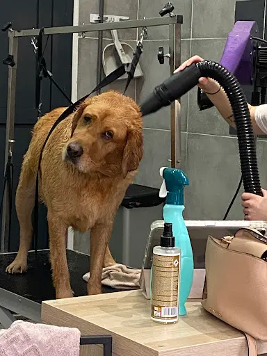 Puppy Doux Toilettage