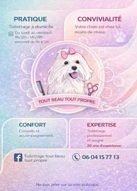 Toilettage Tout Beau Tout Propre À Domicile
