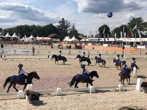 Parc Equestre Federal Ffe