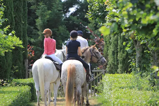 Randonnez Cheval Ô Centre