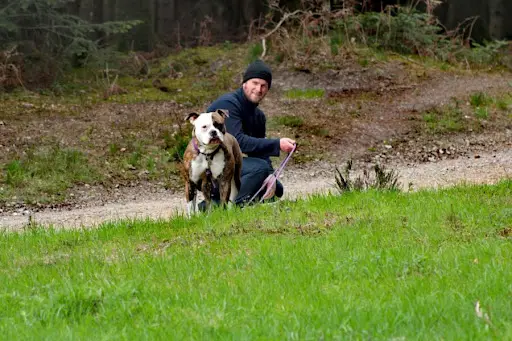 Culture Canine - Educateur Canin