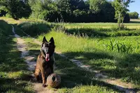 Nodens - Éducateur Canin Dans le Beaujolais