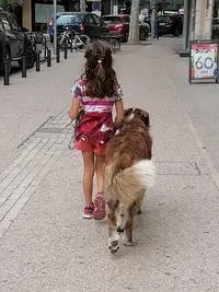 Aurélie Éducation Canine & Comportementaliste