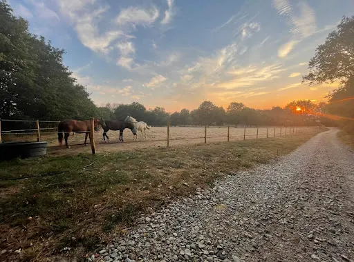 Haras de L’auzance