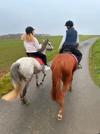 Centre Equestre des Pommiers