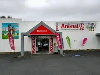 Animal 1