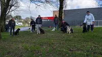 Breizh Heson Ki - Educateur Canin À Landivisiau