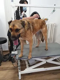 Bulle de Savon