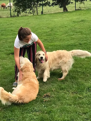 La Compagnie Canine