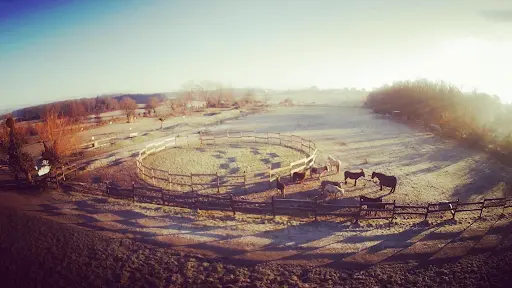 Ferme Pédagogique - les Crins de Django