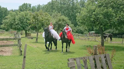 Haras de Kita